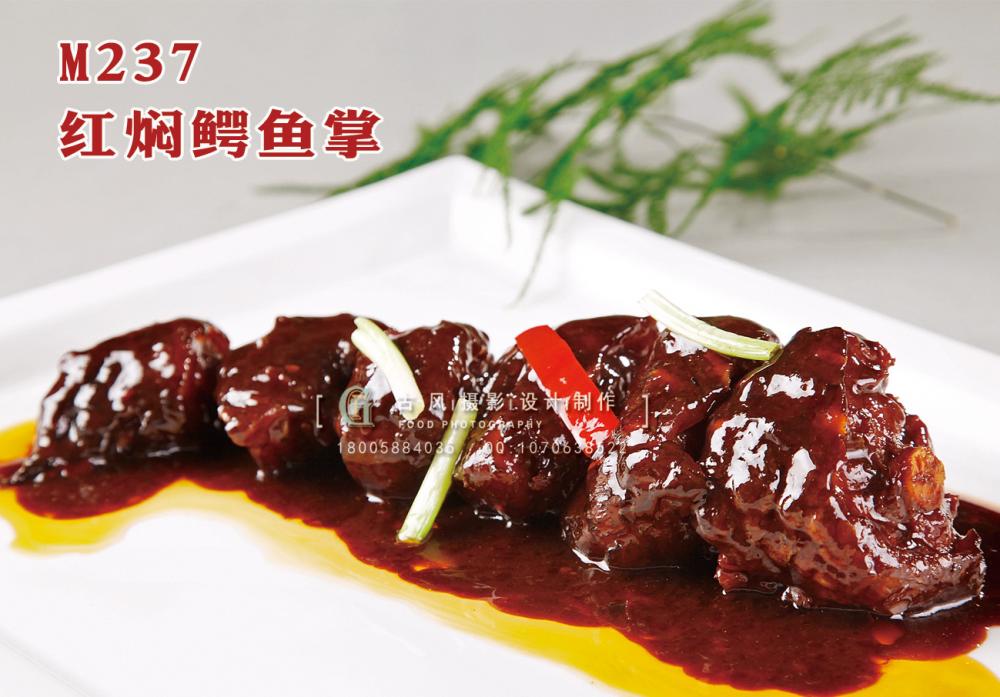 M237红焖鳄鱼掌 副本