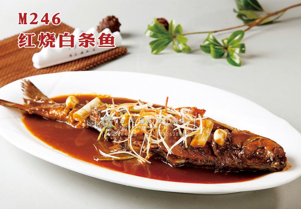M246红烧白条鱼 副本