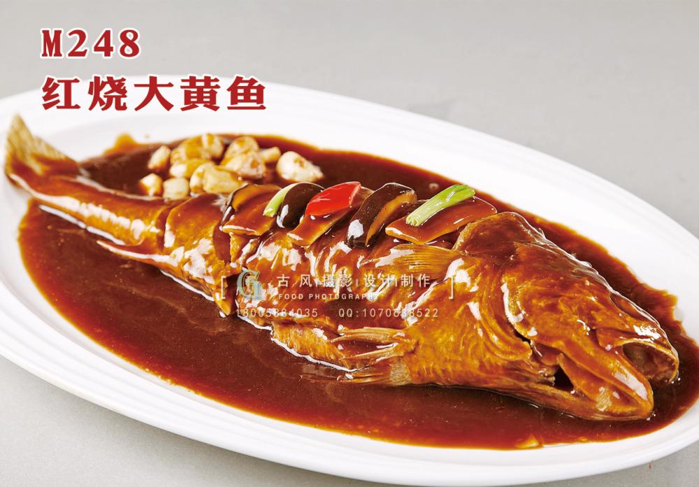 M248红烧大黄鱼 副本
