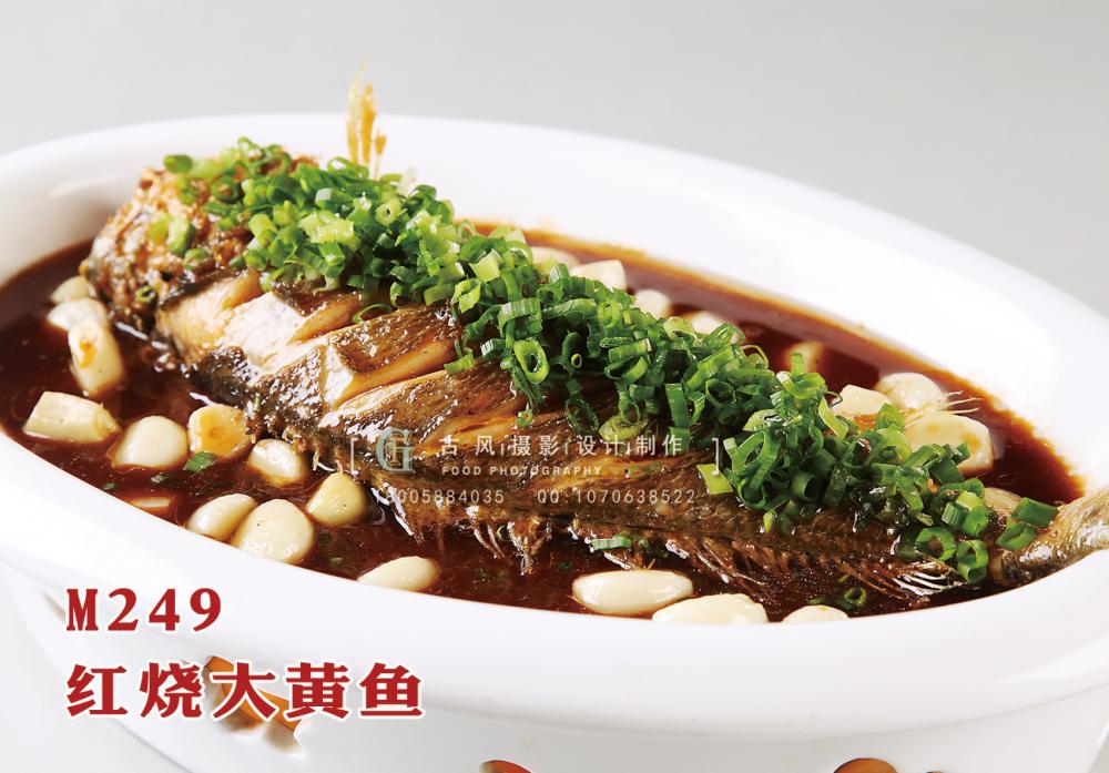 M249红烧大黄鱼 副本