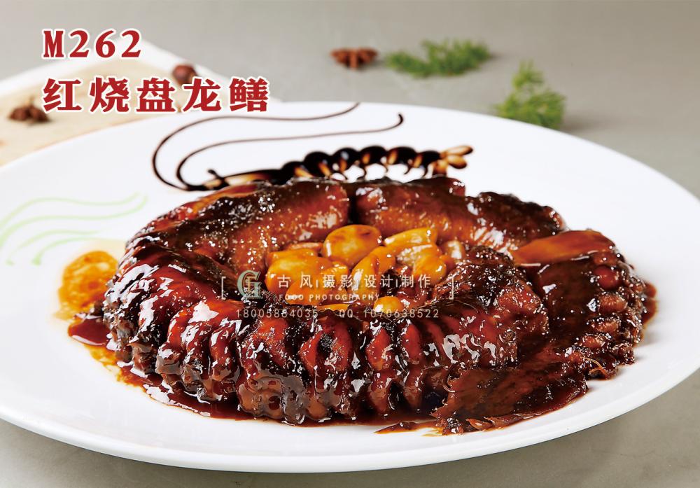 M262红烧盘龙鳝 副本