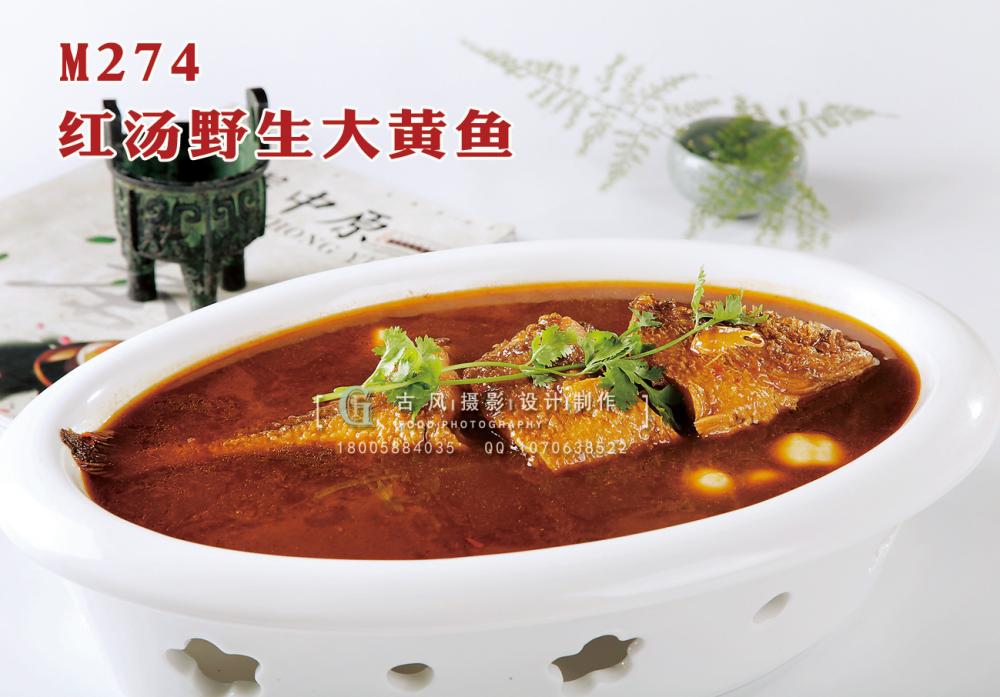 M274红汤野生大黄鱼 副本