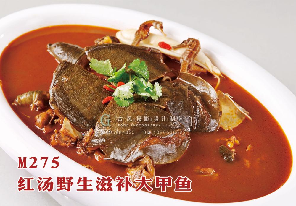 M275红汤野生滋补大甲鱼 副本