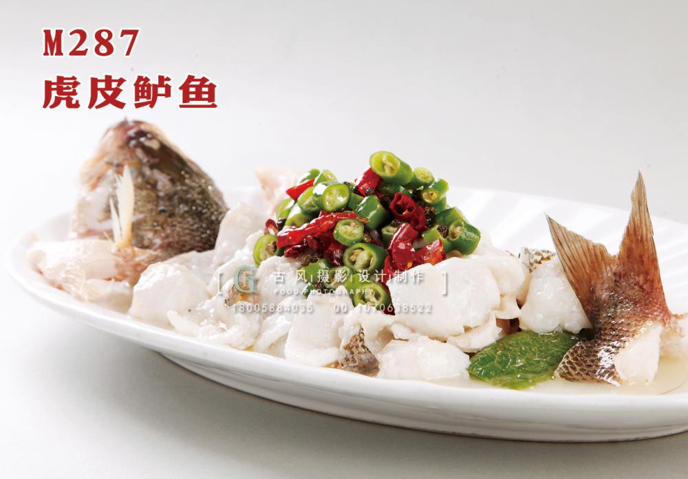 M287虎皮鲈鱼 副本