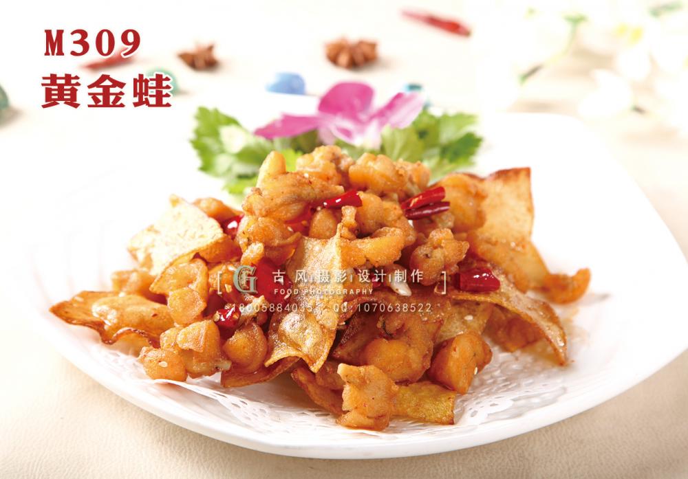 M309黄金蛙 副本