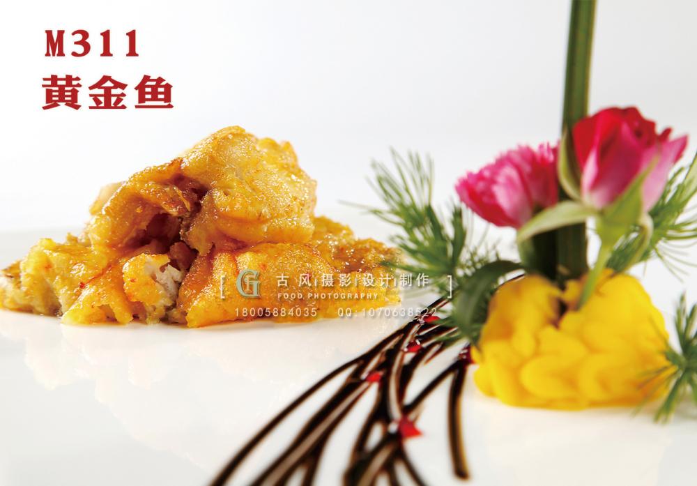 M311黄金鱼 副本