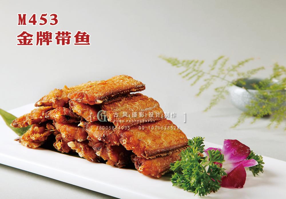 M453金牌带鱼 副本
