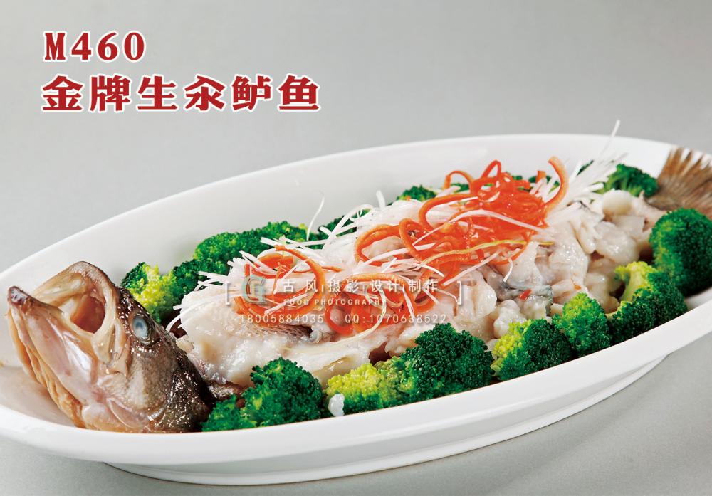 M460金牌生汆鲈鱼 副本