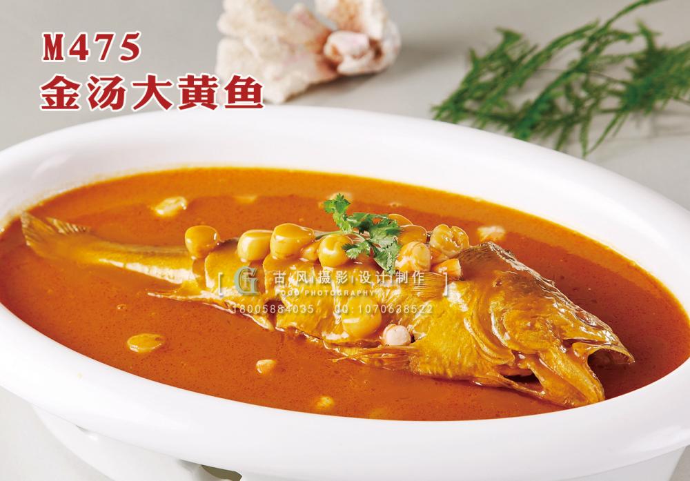 M475金汤大黄鱼 副本