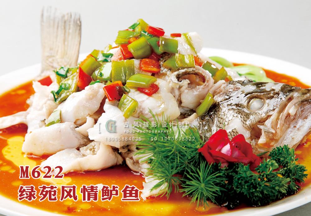 M622绿苑风情鲈鱼 副本