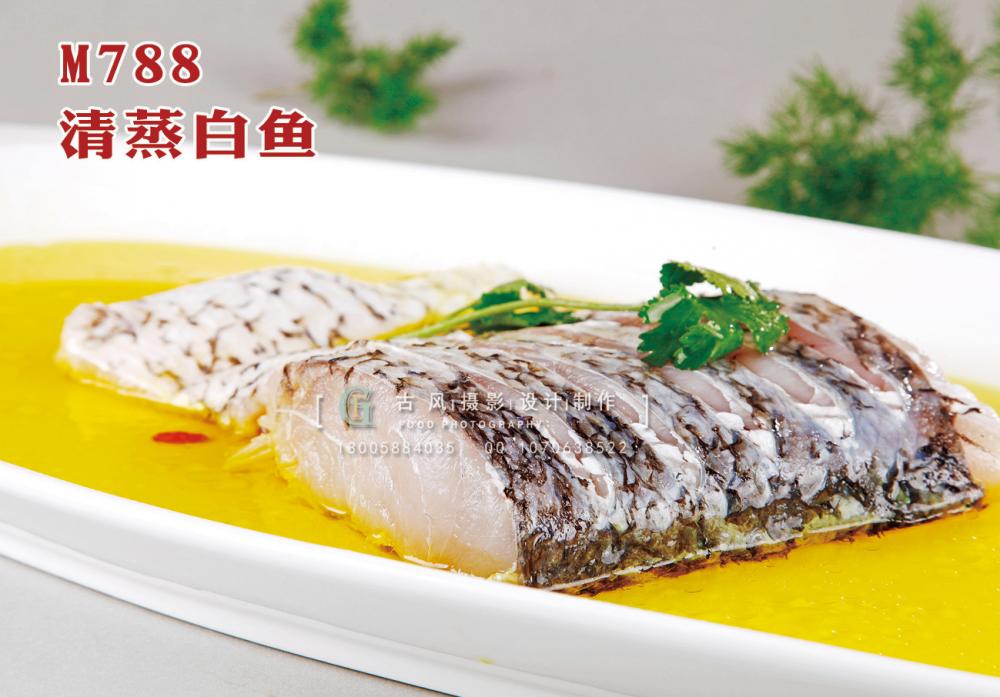 M788清蒸白鱼 副本
