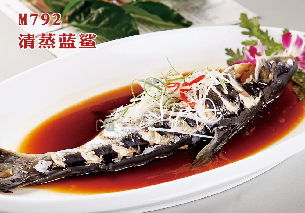 M792清蒸蓝鲨 副本
