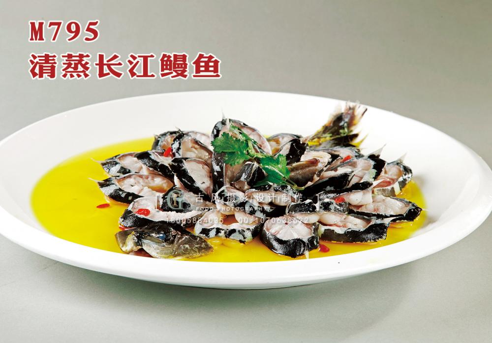 M795清蒸长江鳗鱼 副本