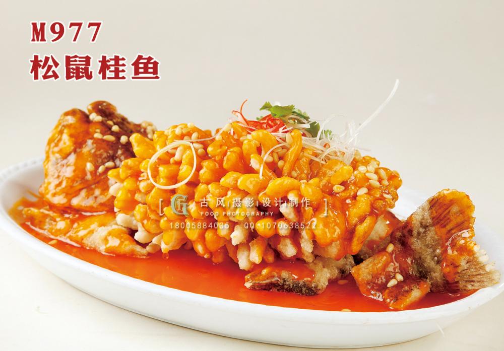 M977松鼠桂鱼 副本
