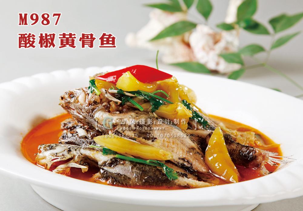 M987酸椒黄骨鱼 副本