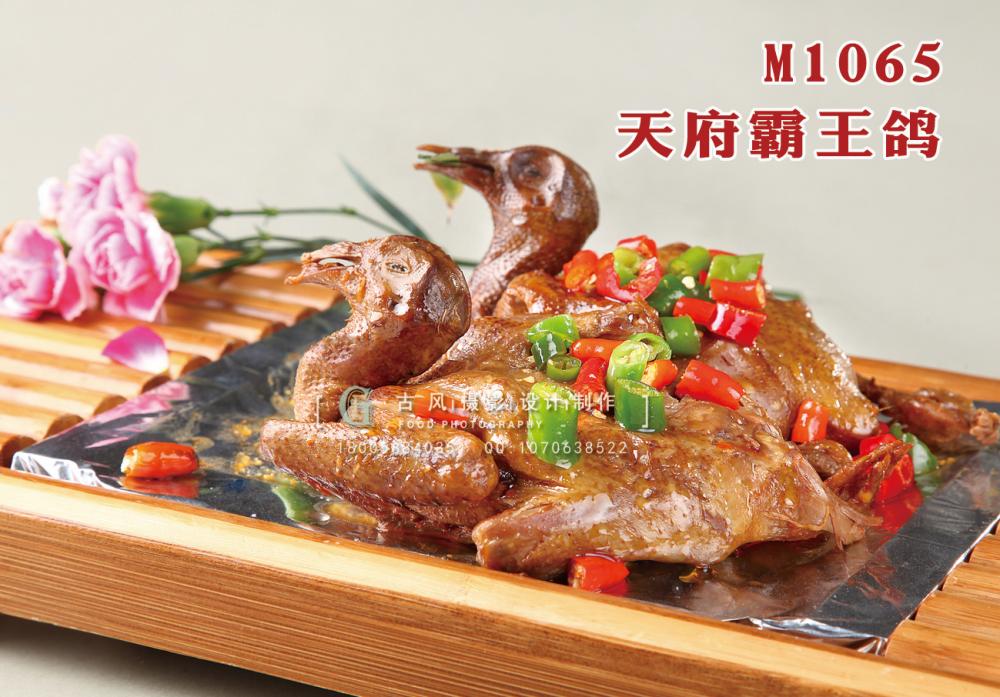 M1065天府霸王鸽 副本