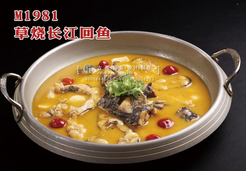 M1981草烧长江回鱼 副本