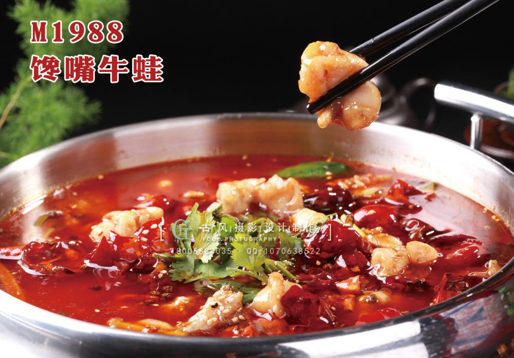 M1988馋嘴牛蛙 副本