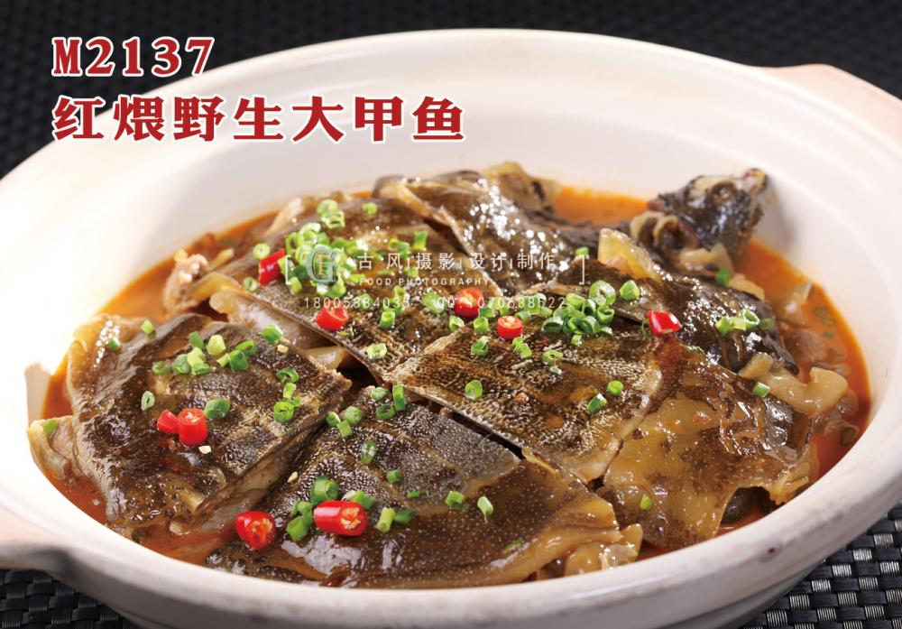 M2137红煨野生大甲鱼 副本