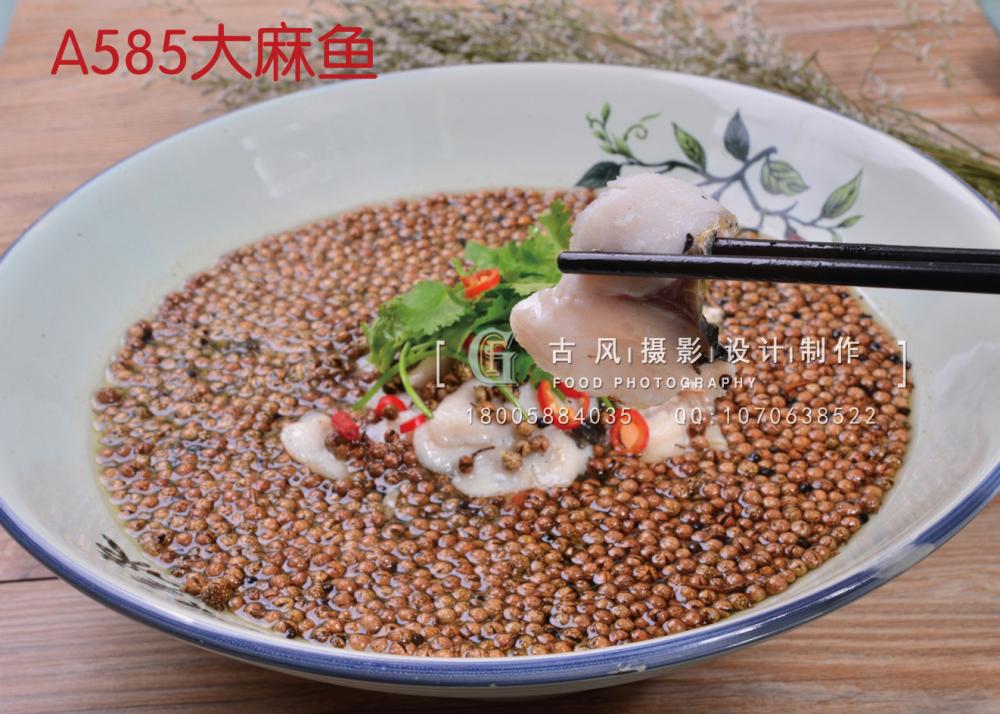 A585大麻鱼