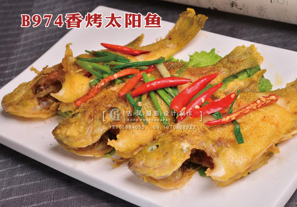 B974香烤太阳鱼 副本