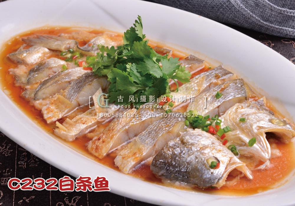 C232白条鱼 (2) 副本