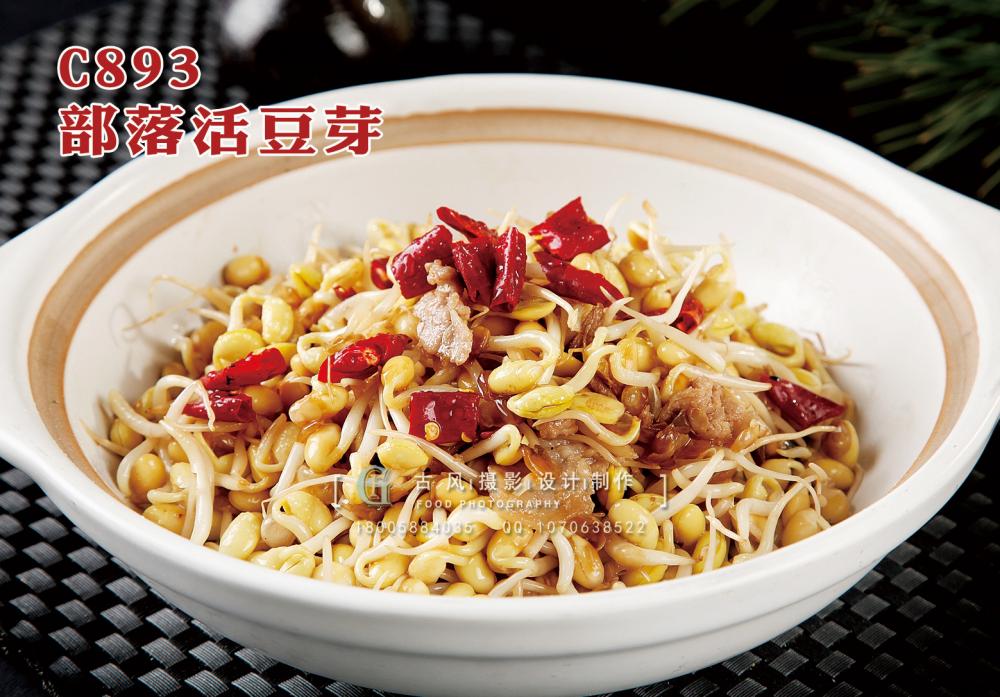 C893部落活豆芽 副本