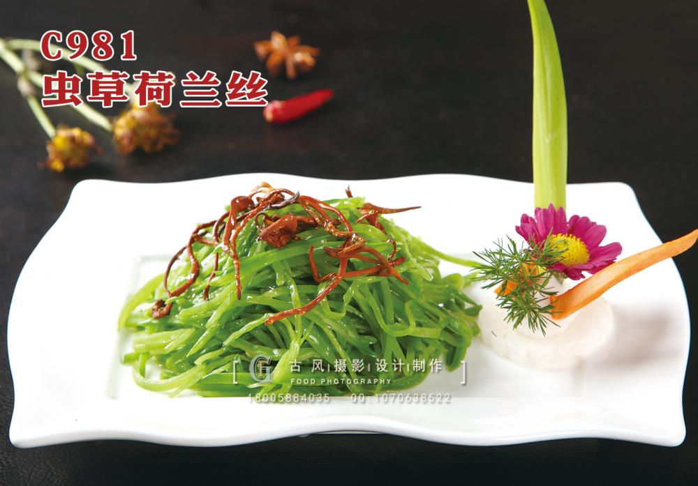 C981虫草荷兰丝 副本