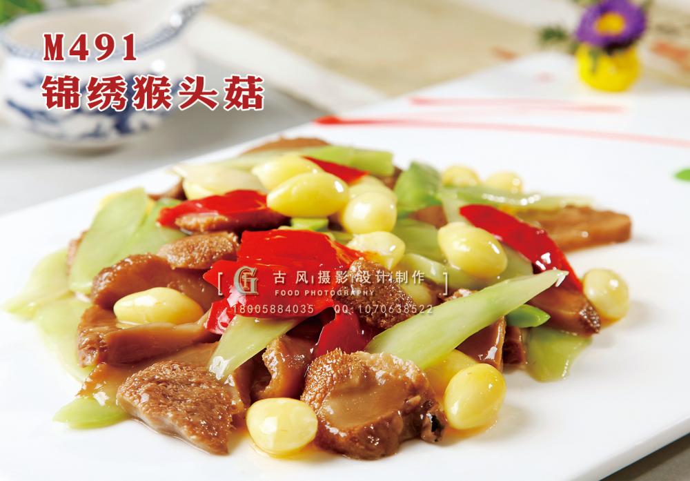 M491锦绣猴头菇 副本