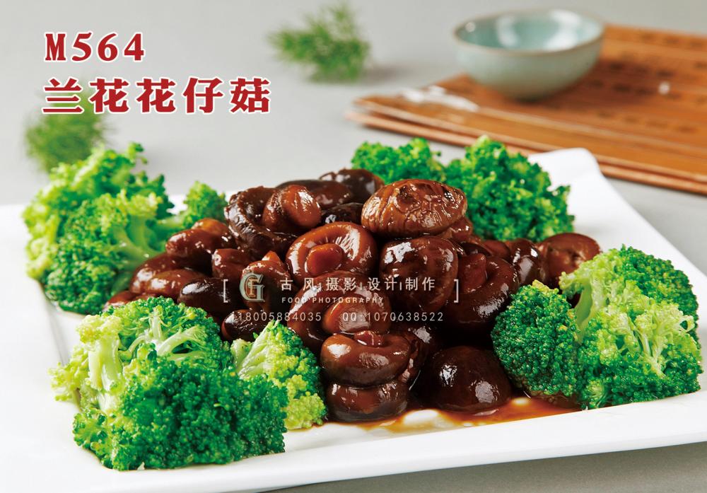 M564兰花花仔菇 副本