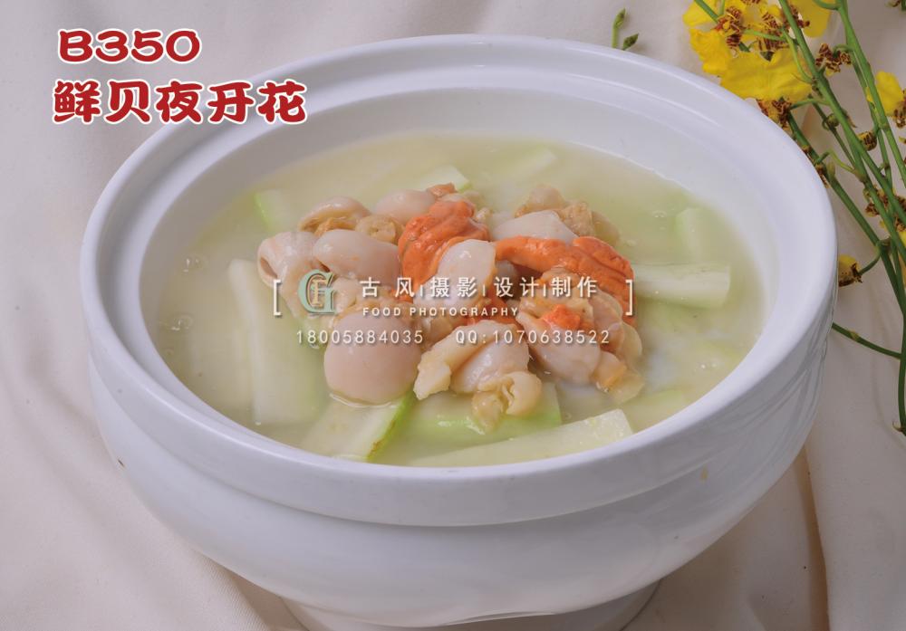 B350鲜贝夜开花 副本