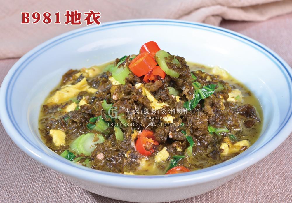 B981地衣 (1) 副本