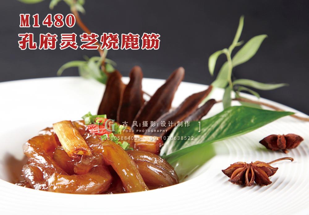 M1480孔府灵芝烧鹿筋 副本