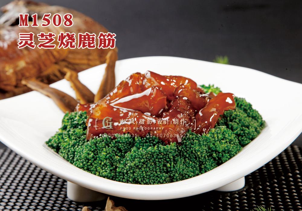 M1508灵芝烧鹿筋 副本
