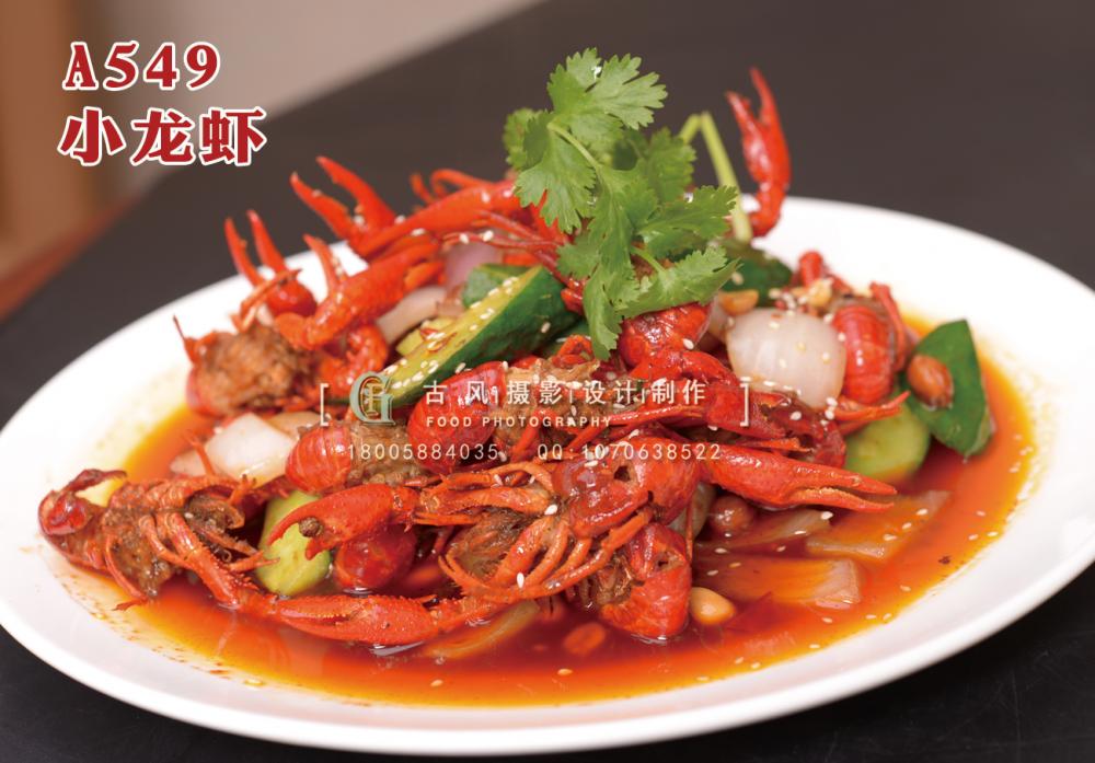 A549小龙虾 副本