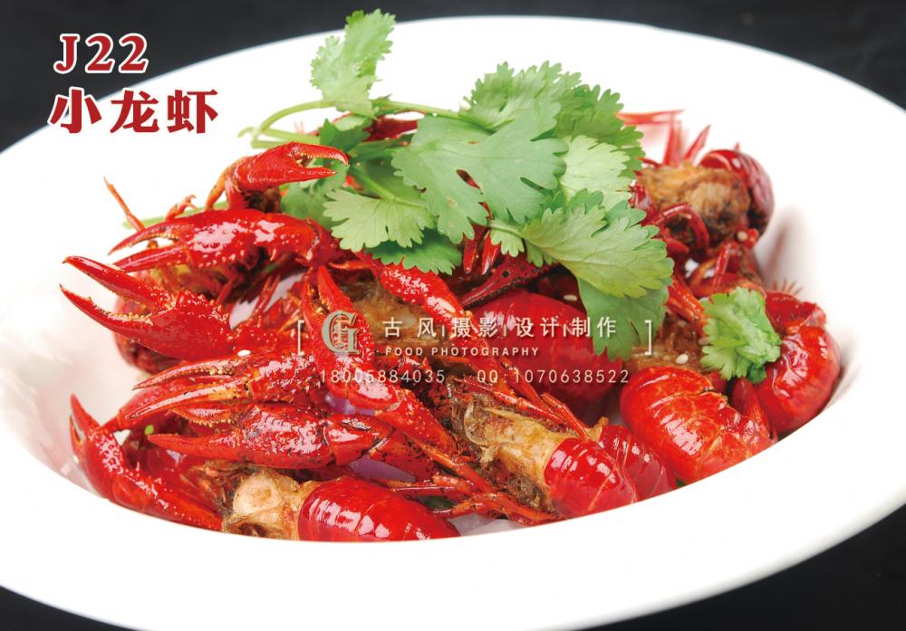 J22小龙虾 副本
