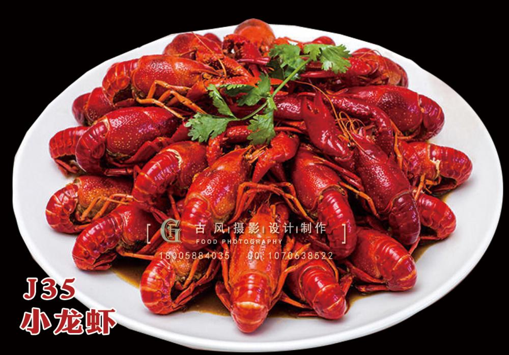 J35小龙虾13 副本