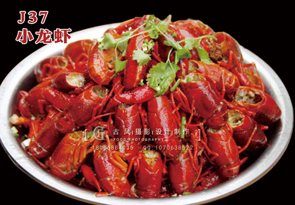 J37小龙虾15 副本