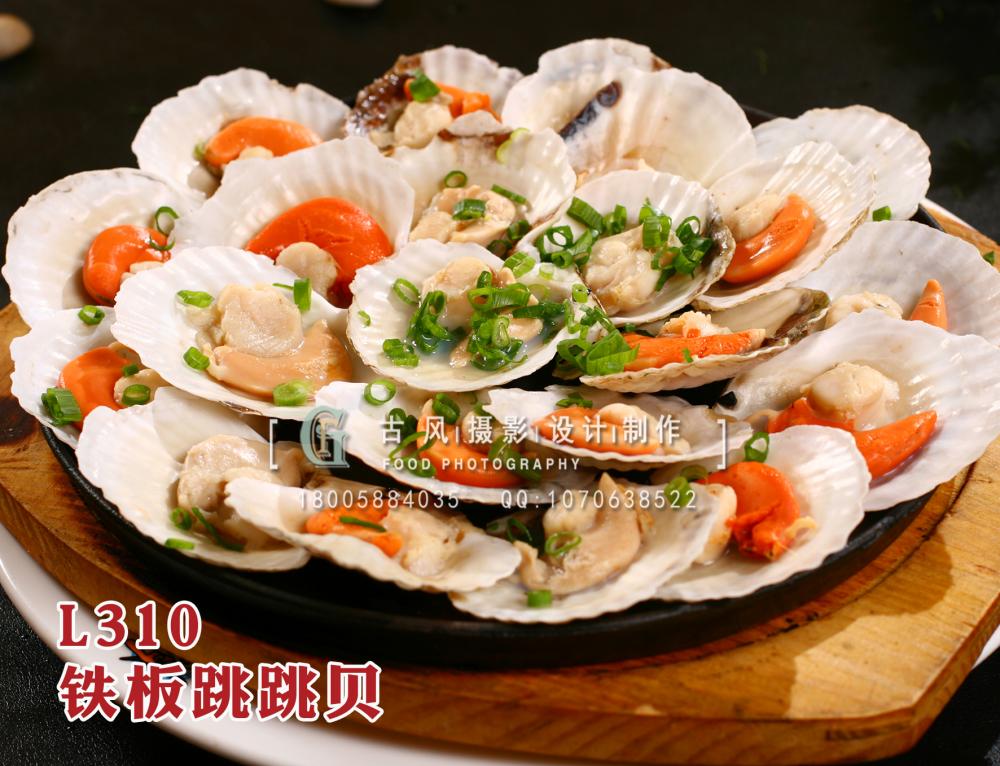 L310铁板跳跳贝 拷贝