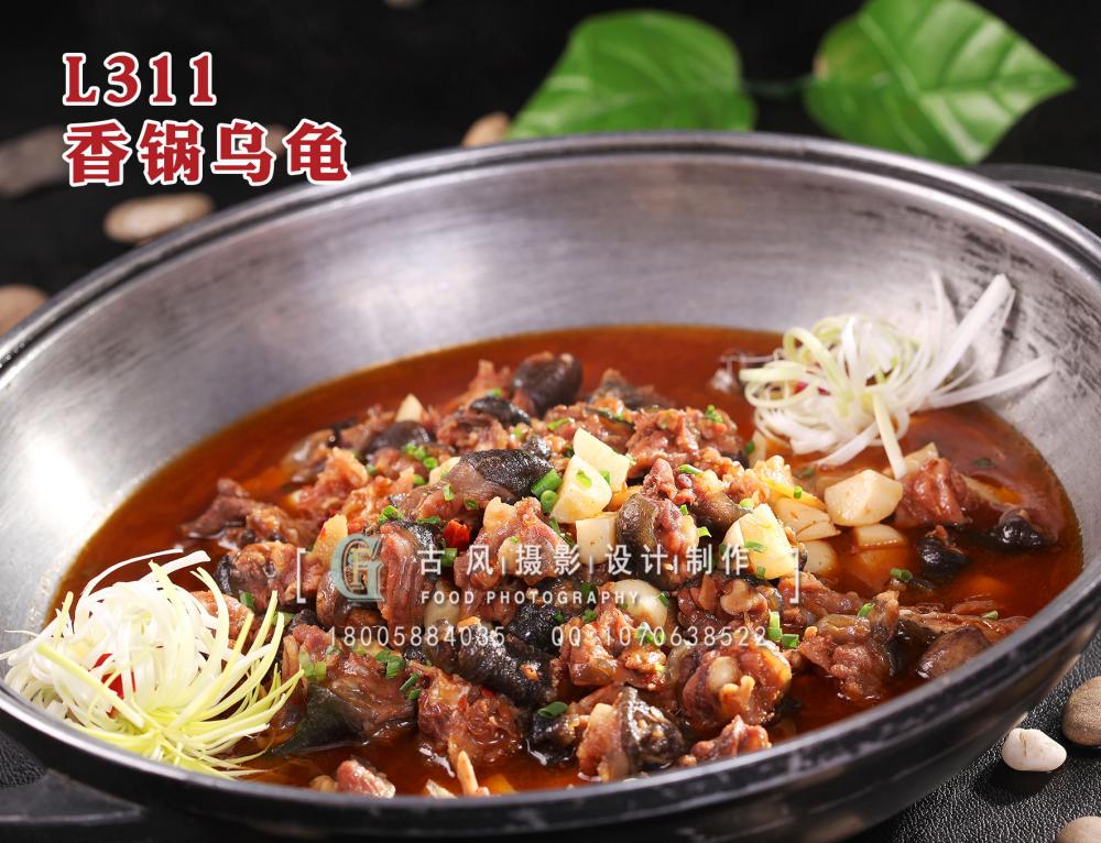 L311香锅乌龟 拷贝