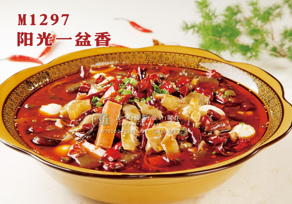 M1297阳光一盆香 副本