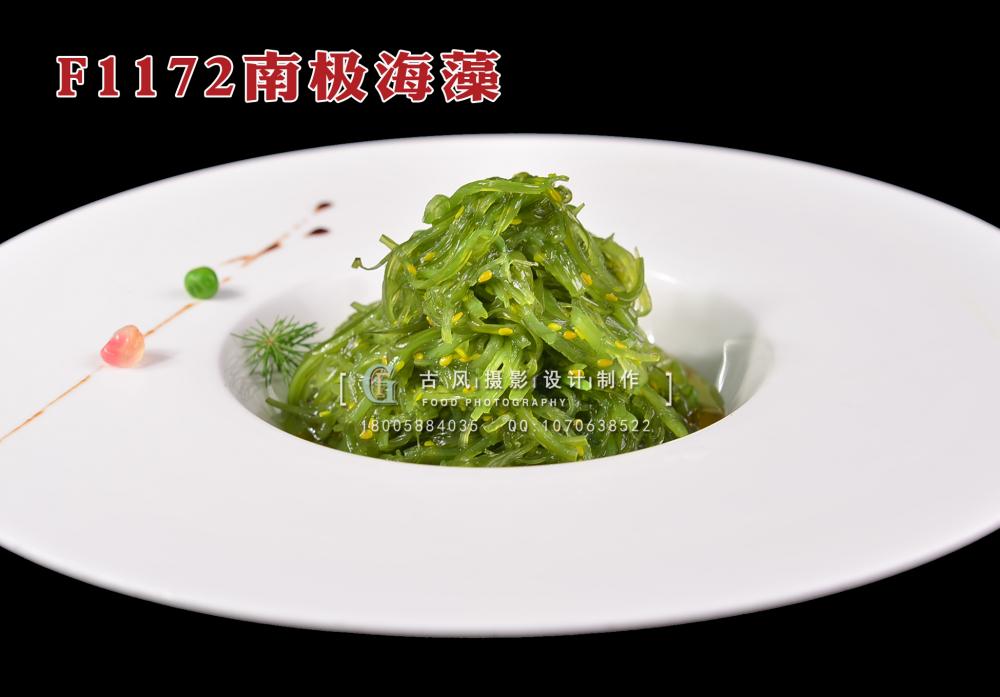 F1172南極海藻 副本