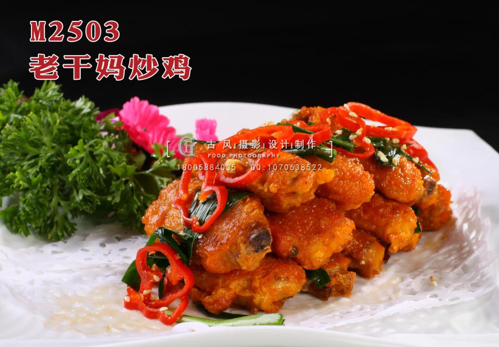 M2503老干妈炒鸡 副本