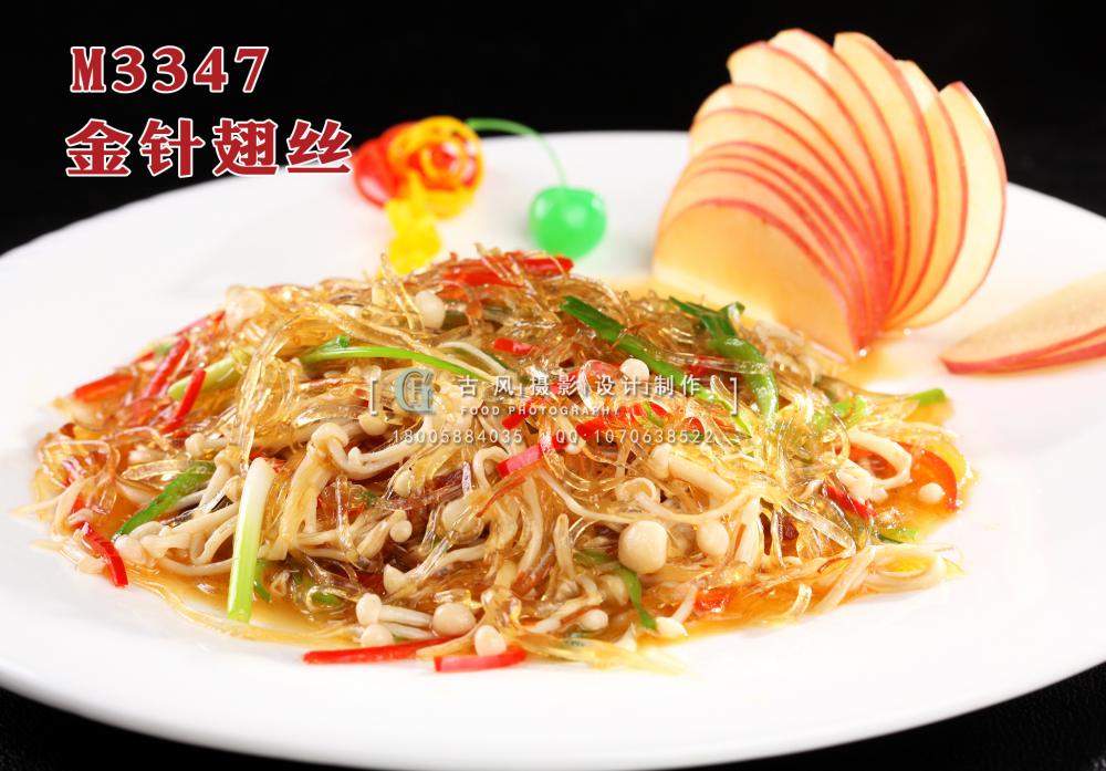 M3347金针翅丝 副本