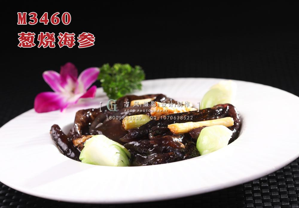 M3460葱烧海参 副本