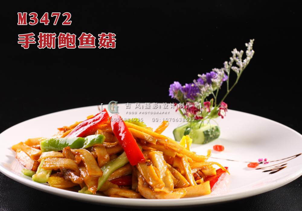 M3472手撕鲍鱼菇 副本