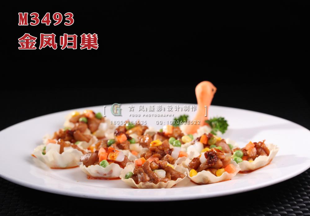 M3493金凤归巢 副本