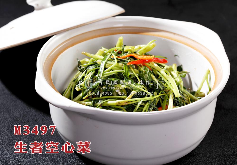 M3497生者空心菜 副本