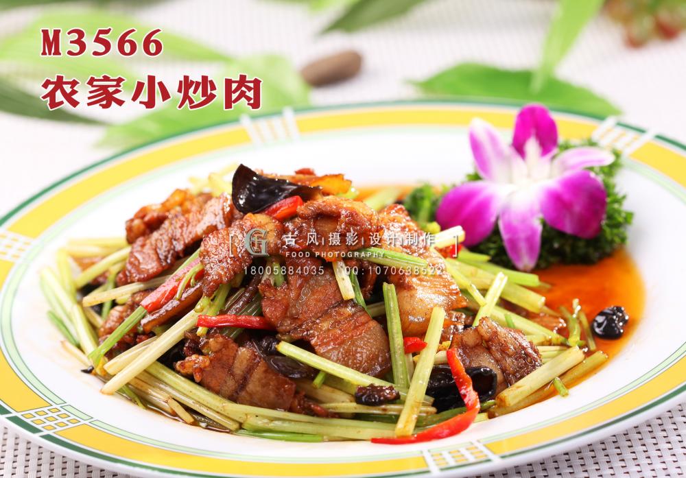 M3566农家小炒肉 副本