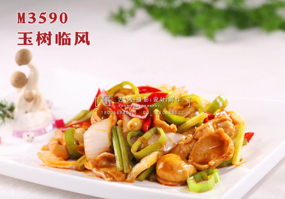 M3590玉树临风 副本